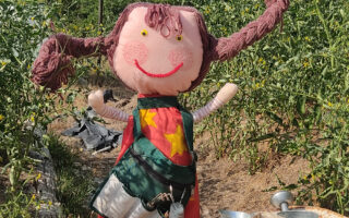 Juliet' au jardin